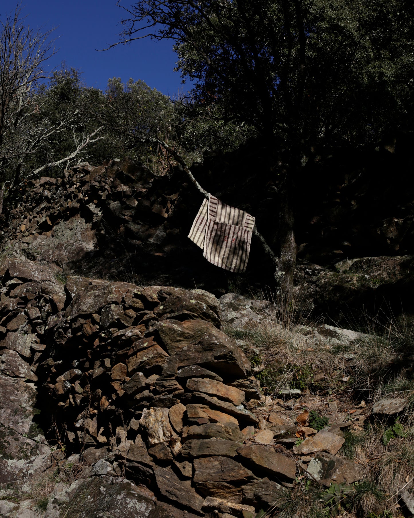 Found. Wool alforja 001