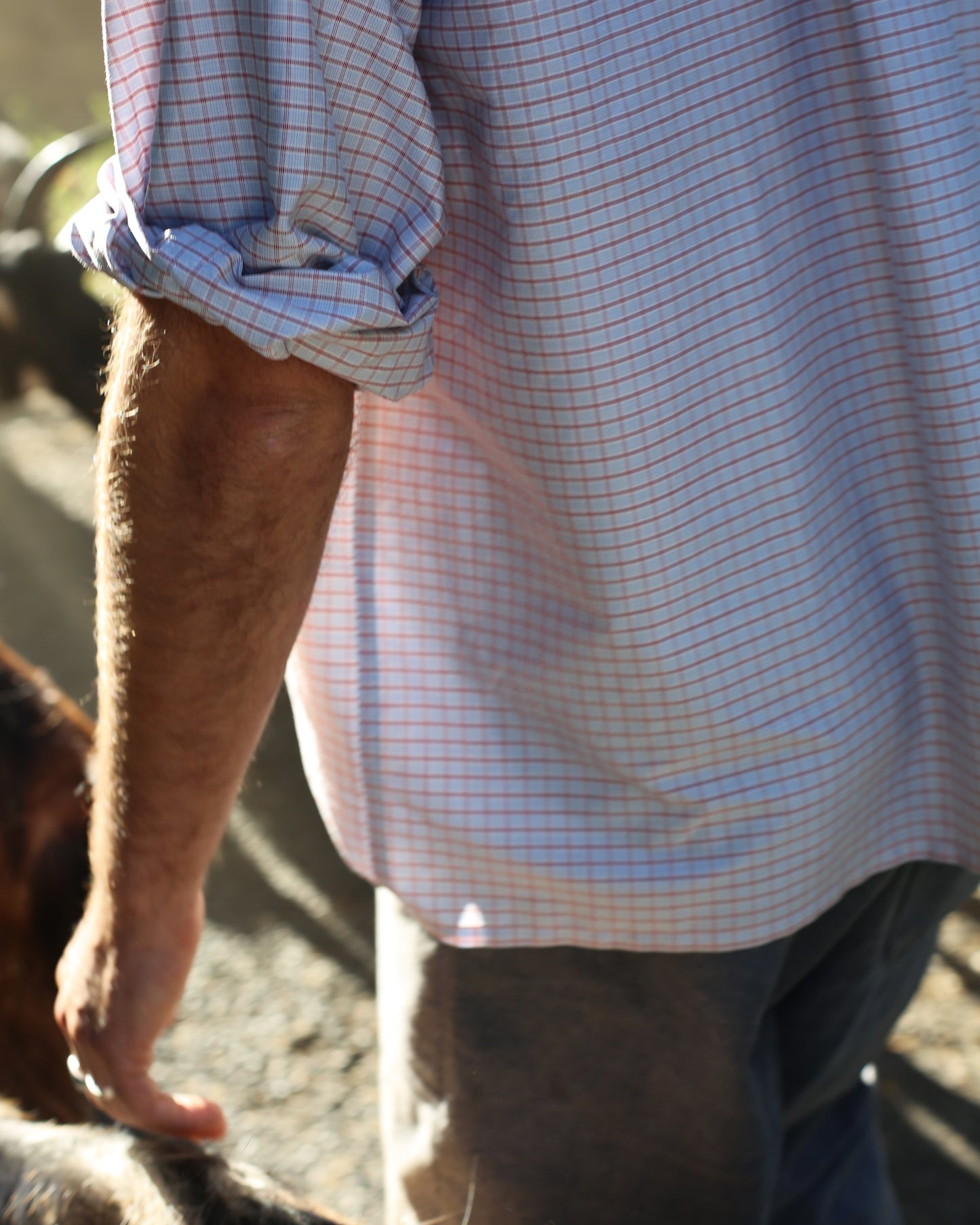 Chemise de Berger - French check red
